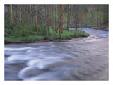 Gibbon River Rapids Popular River For Trout Fishing, Yellowstone National Park, Wyoming-Paper Art-26,,X20,,