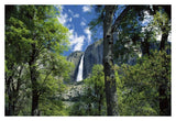 Bridal Veil Falls Tumble 620 Feet To The Valley Floor, Yosemite National Park, California-Paper Art-38,,X26,,