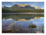 Bow Range And Boreal Forest Reflected In Herbert Lake, Banff National Park, Alberta, Canada-Paper Art-26,,X20,,
