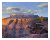 Sandstone Cliffs And Canyon Seen From Toroweap Overlook, Grand Canyon National Park, Arizona-Paper Art-26,,X22,,