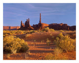 Totem Pole And Yei Bi Chei With Sand Dunes And Shrubs, Monument Valley, Arizona And Utah Border-Paper Art-26,,X20,,