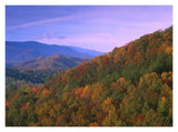 Appalachian Mountains Ablaze With Fall Color, Great Smoky Mountains National Park, North Carolina-Paper Art-18,,X14,,