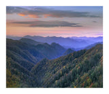 Deciduous Forest Covering Mountains, Newfound Gap, Great Smoky Mountains National Park, North Carolina-Paper Art-18,,X15.44,,
