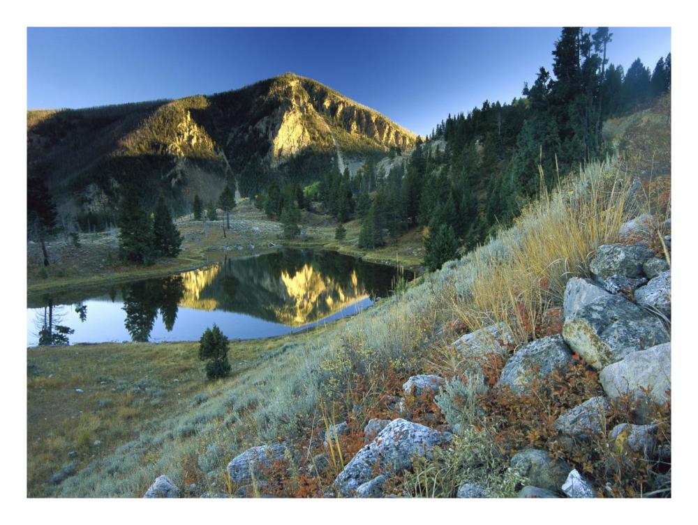 Bunsen Peak, An Ancient Volcano Cone, Reflected In Lake, Near Mammoth, Yellowstone National Park, Wyoming-Paper Art-26,,X20,,