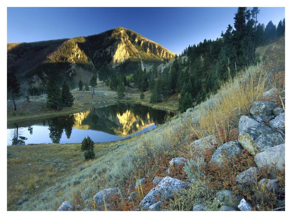 Bunsen Peak, An Ancient Volcano Cone, Reflected In Lake, Near Mammoth, Yellowstone National Park, Wyoming-Paper Art-42,,X32,,