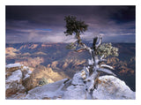 South Rim Of Grand Canyon With A Dusting Of Snow Seen From Yaki Point, Grand Canyon National Park, Arizona-Paper Art-26,,X20,,