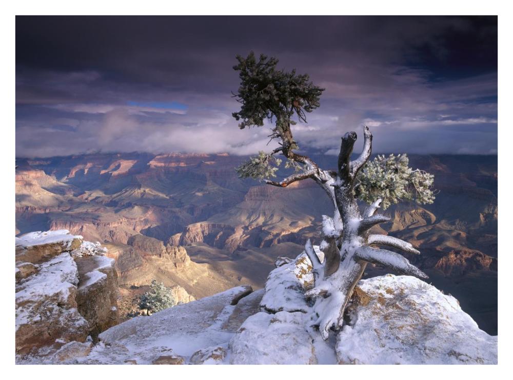 South Rim Of Grand Canyon With A Dusting Of Snow Seen From Yaki Point, Grand Canyon National Park, Arizona-Paper Art-34,,X26,,