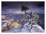 South Rim Of Grand Canyon With A Dusting Of Snow Seen From Yaki Point, Grand Canyon National Park, Arizona-Paper Art-34,,X26,,