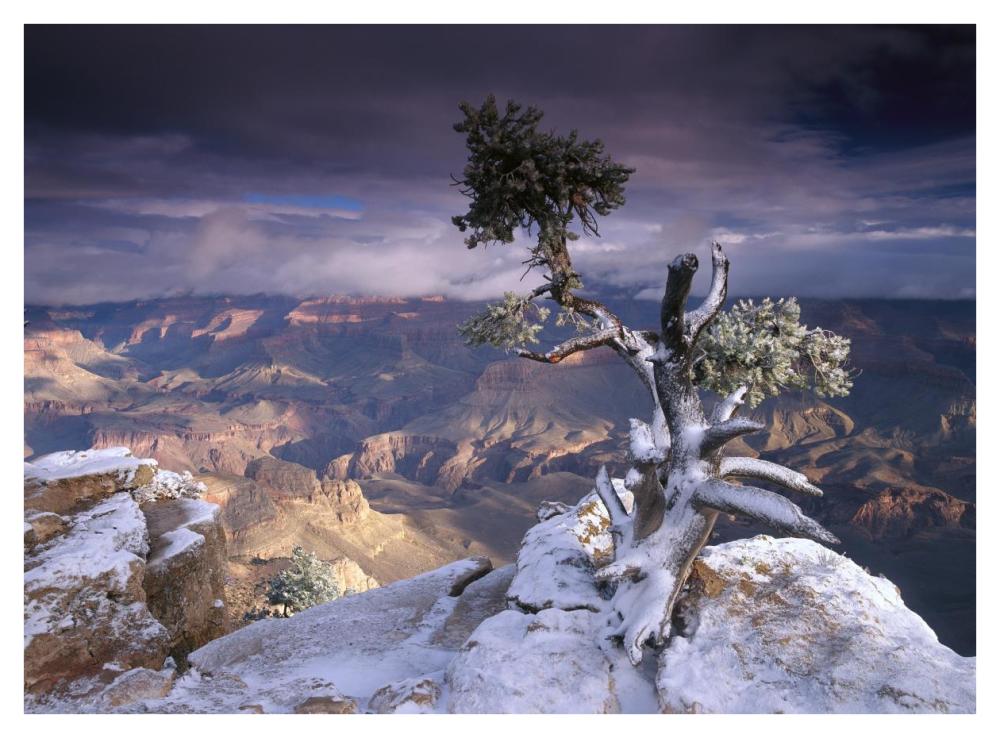 South Rim Of Grand Canyon With A Dusting Of Snow Seen From Yaki Point, Grand Canyon National Park, Arizona-Paper Art-42,,X32,,
