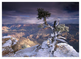 South Rim Of Grand Canyon With A Dusting Of Snow Seen From Yaki Point, Grand Canyon National Park, Arizona-Paper Art-42,,X32,,
