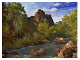 Mt Spry At 5,823 Foot Elevation With The Virgin River Surrounded By Cottonwood Trees, Zion National Park, Utah-Paper Art-18,,X14