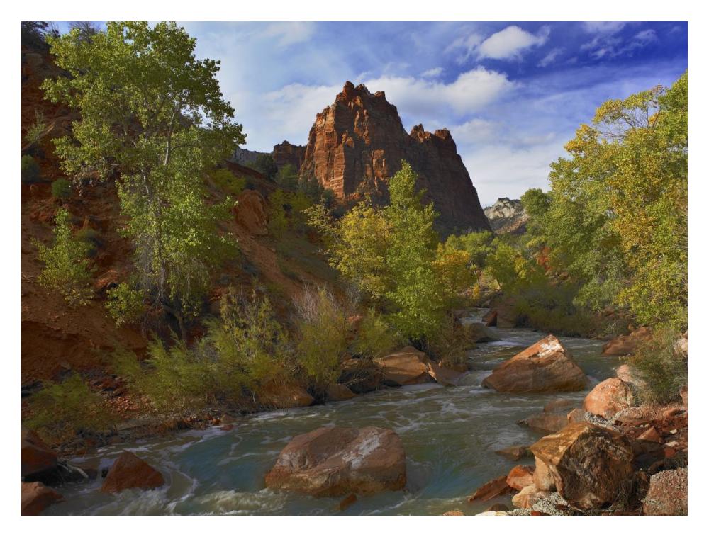 Mt Spry At 5,823 Foot Elevation With The Virgin River Surrounded By Cottonwood Trees, Zion National Park, Utah-Paper Art-34,,X26