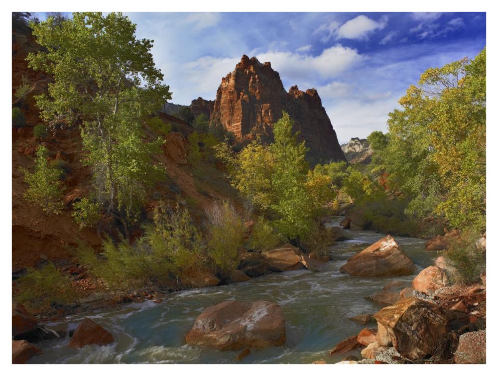 Mt Spry At 5,823 Foot Elevation With The Virgin River Surrounded By Cottonwood Trees, Zion National Park, Utah-Paper Art-42,,X32