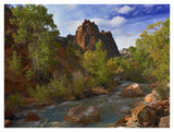 Mt Spry At 5,823 Foot Elevation With The Virgin River Surrounded By Cottonwood Trees, Zion National Park, Utah-Paper Art-42,,X32
