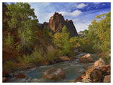 Mt Spry At 5,823 Foot Elevation With The Virgin River Surrounded By Cottonwood Trees, Zion National Park, Utah-Paper Art-50,,X38