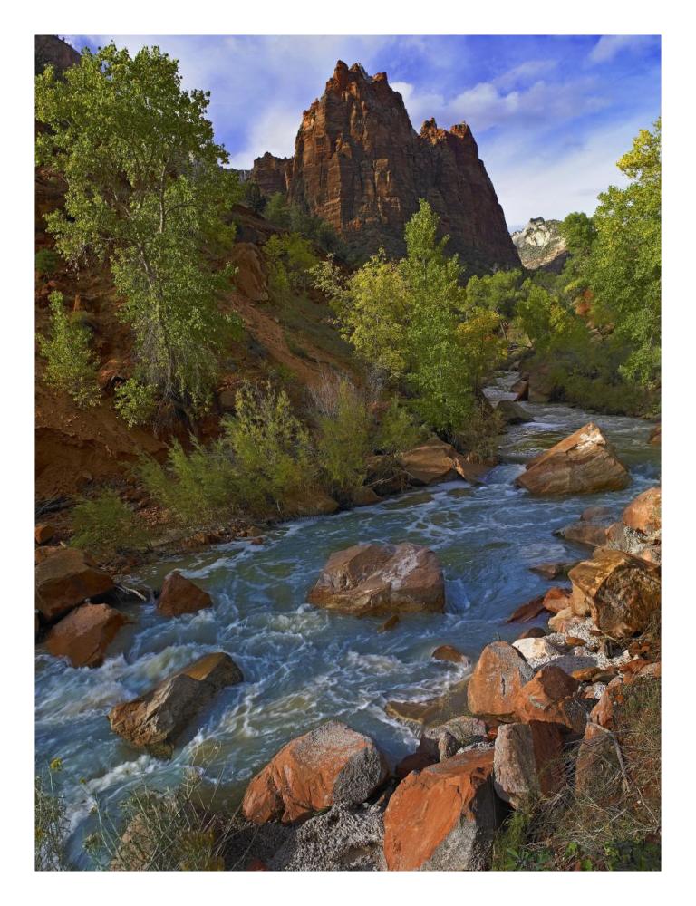Mt Spry At 5,823 Foot Elevation With The Virgin River Surrounded By Cottonwood Trees, Zion National Park, Utah-Paper Art-20,,X26