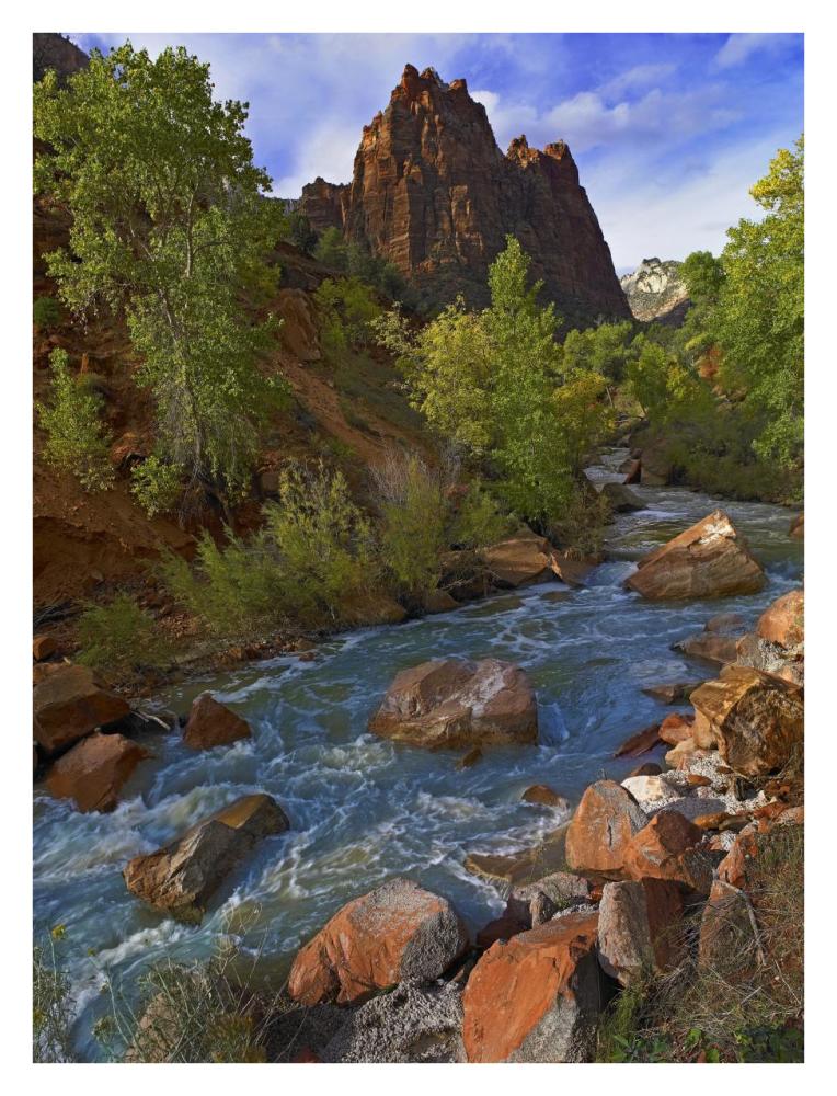 Mt Spry At 5,823 Foot Elevation With The Virgin River Surrounded By Cottonwood Trees, Zion National Park, Utah-Paper Art-26,,X34