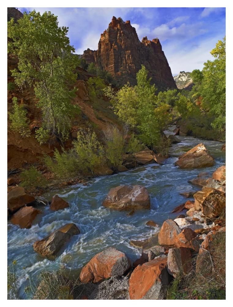 Mt Spry At 5,823 Foot Elevation With The Virgin River Surrounded By Cottonwood Trees, Zion National Park, Utah-Paper Art-32,,X42