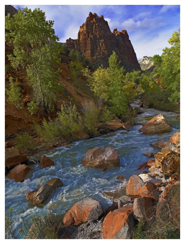 Mt Spry At 5,823 Foot Elevation With The Virgin River Surrounded By Cottonwood Trees, Zion National Park, Utah-Paper Art-38,,X50