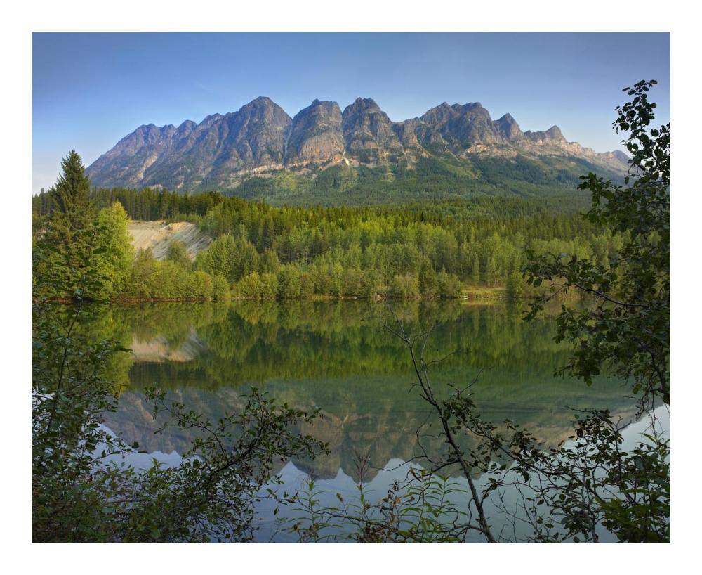 Yellowhead Mountain And Yellowhead Lake With Boreal Forest, Mount Robson Provinvial Park, British Columbia, Canada-Paper Art-22,