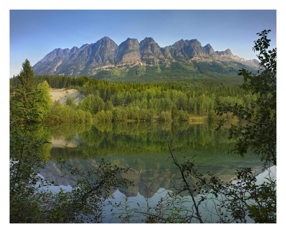 Yellowhead Mountain And Yellowhead Lake With Boreal Forest, Mount Robson Provinvial Park, British Columbia, Canada-Paper Art-30,