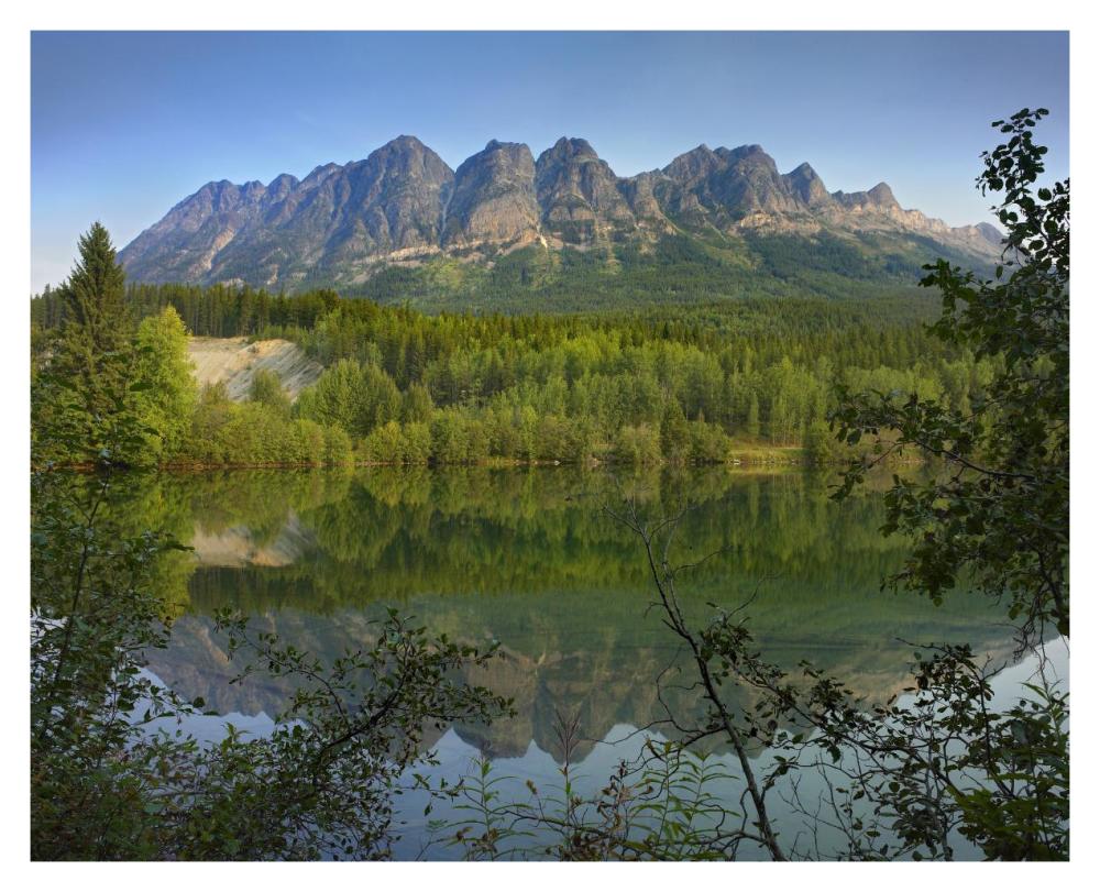 Yellowhead Mountain And Yellowhead Lake With Boreal Forest, Mount Robson Provinvial Park, British Columbia, Canada-Paper Art-37,
