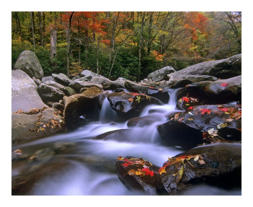 Little Pigeon River Cascading Among Rocks And Colorful Maple Leaves, Great Smoky Mountains National Park, Tennessee-Paper Art-22