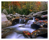 Little Pigeon River Cascading Among Rocks And Colorful Maple Leaves, Great Smoky Mountains National Park, Tennessee-Paper Art-37