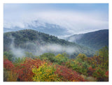 Broadleaf Forest In Fall Colors, Skyline Drive, Shenandoah National Park, Virginia-Paper Art-18,,X14,,