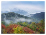 Broadleaf Forest In Fall Colors, Skyline Drive, Shenandoah National Park, Virginia-Paper Art-34,,X26,,
