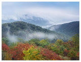 Broadleaf Forest In Fall Colors, Skyline Drive, Shenandoah National Park, Virginia-Paper Art-50,,X38,,