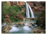Havasu Creek, Lined With Cottonwood Trees, Havasu Falls, Grand Canyon, Arizona-Paper Art-34,,X26,,