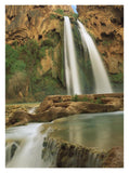 Havasu Creek, Lined With Cottonwood Trees, Havasu Falls, Grand Canyon, Arizona-Paper Art-14,,X18,,