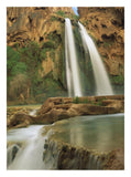 Havasu Creek, Lined With Cottonwood Trees, Havasu Falls, Grand Canyon, Arizona-Paper Art-20,,X26,,