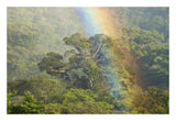 Rainbow Over Rainforest Canopy, Costa Rica-Paper Art-26X18