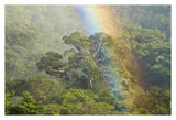 Rainbow Over Rainforest Canopy, Costa Rica-Paper Art-38X26