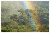 Rainbow Over Rainforest Canopy, Costa Rica-Paper Art-62X42