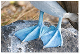 Blue-Footed Booby Feet, Galapagos Islands, Ecuador-Paper Art-62X42