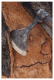Cork Oak Bark Being Harvested For Wine Corks And Other Products, San Vicente De Alcantara, Extremadura, Spain-Paper Art-34X50,