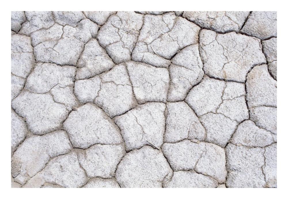 Dry And Cracked Ground Pattern, California-Paper Art-26X18