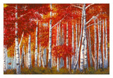 Bosco Di Betulle-Paper Art-32,,X22,,
