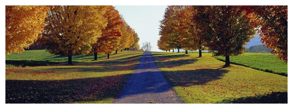 Autumn Road, Storm King Mountain, New York-Paper Art-56,,X20,,