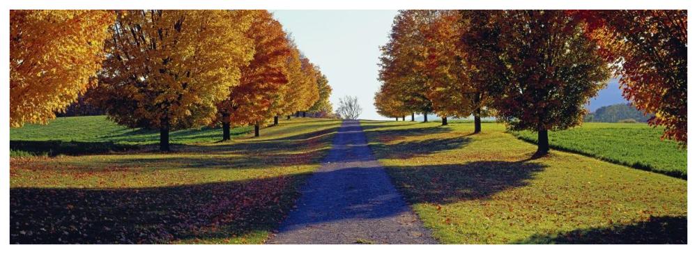 Autumn Road, Storm King Mountain, New York-Paper Art-74,,X26,,