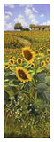 Collina Toscana-Paper Art-14,,X38,,