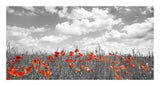 Poppies In Corn Field, Bavaria, Germany-Paper Art-26,,X14,,