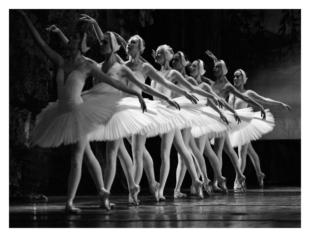 Swan Lake Ballet-Paper Art-18,,X14,,