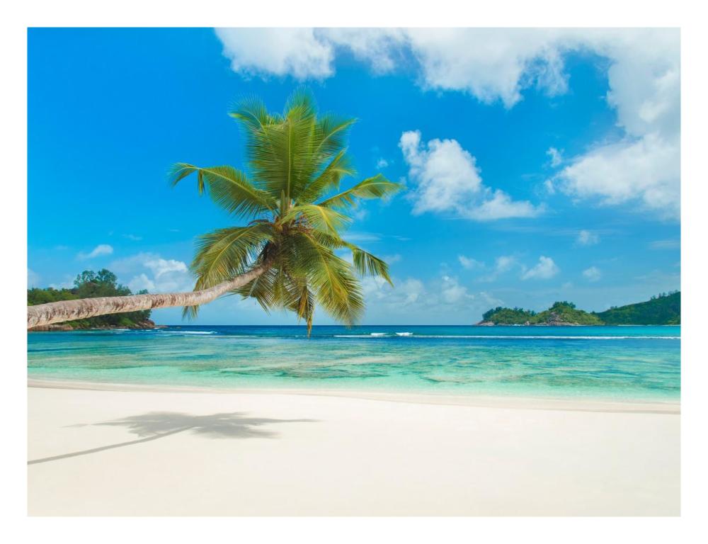 Tropical Beach, Seychelles (Detail)-Paper Art-26,,X20,,