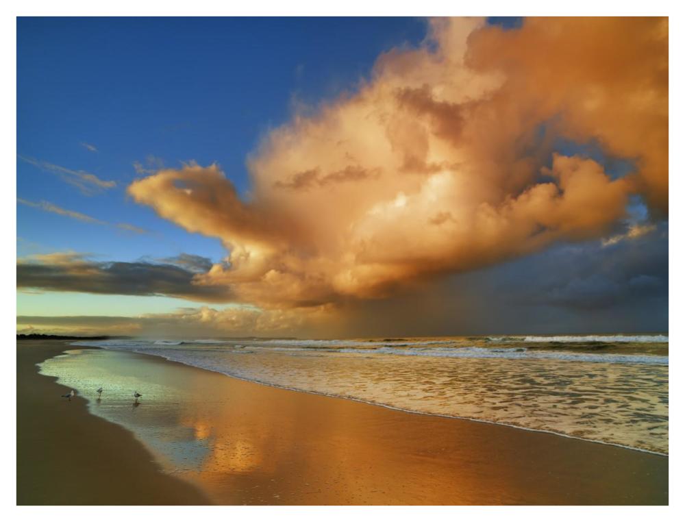 Sunset On The Ocean, New South Wales, Australia-Paper Art-42,,X32,,