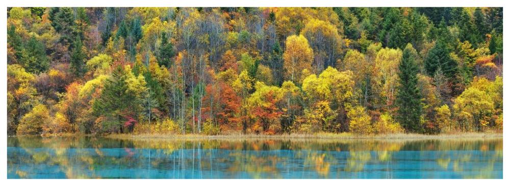 Lake And Forest In Autumn, China-Paper Art-74,,X26,,