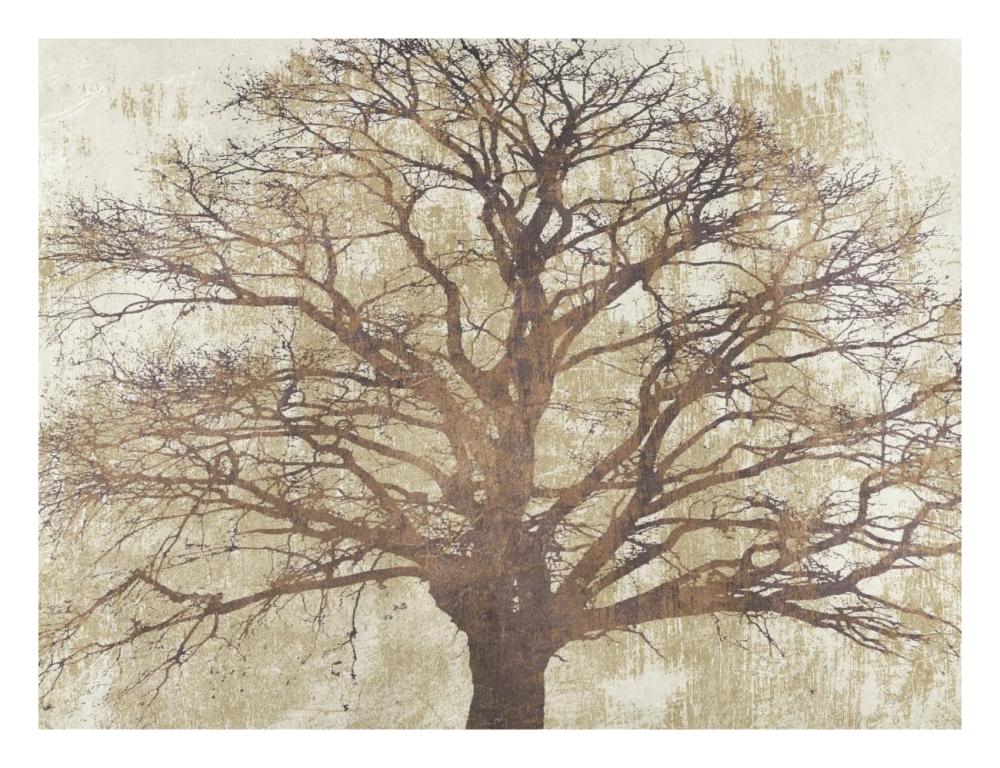 Sacred Oak-Paper Art-26,,X20,,